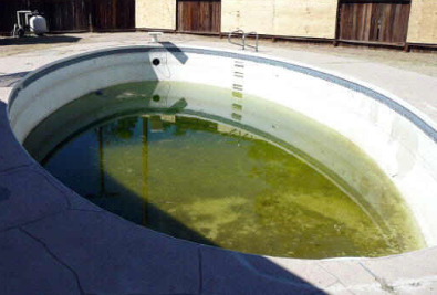 Green Pool