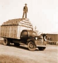 Man on farm truck