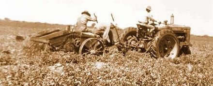 Historical photo of Tractor