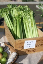 celery