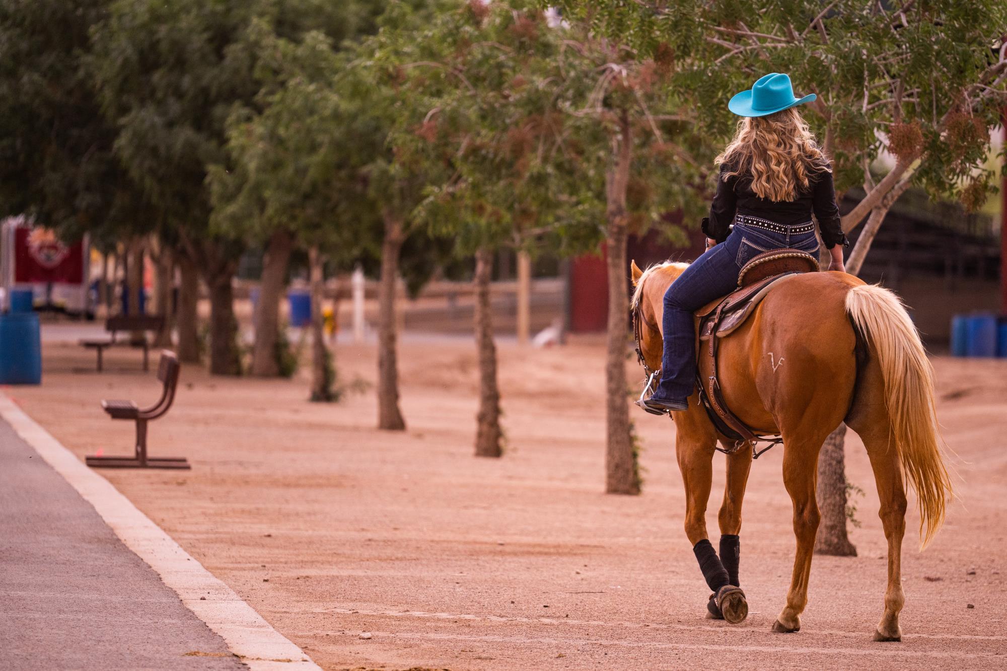 Queen Creek-Horseshoe Park and Equestrian Center-175