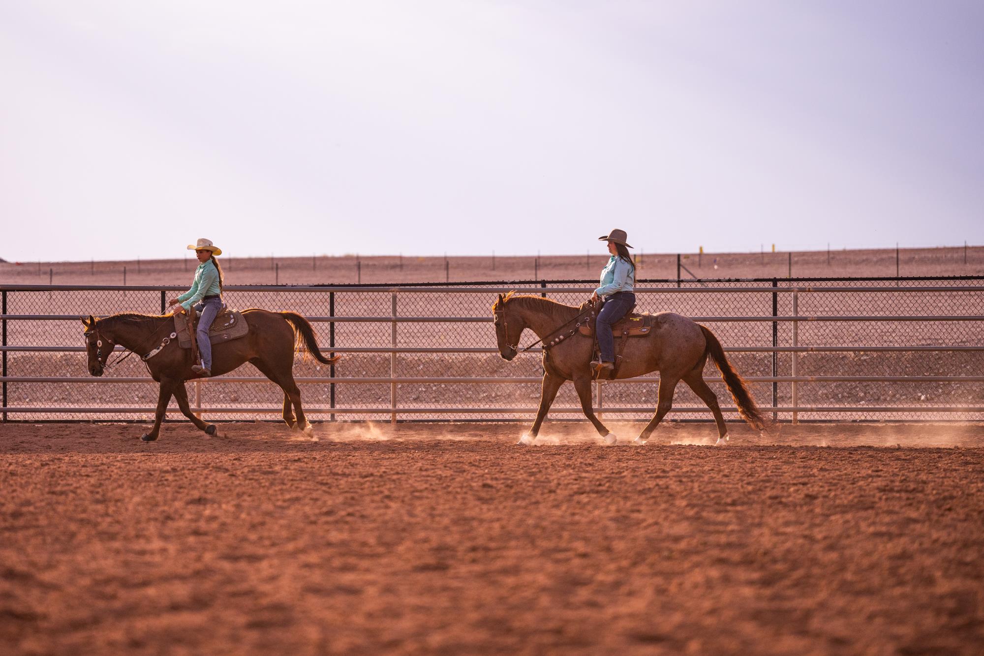 Queen Creek-Horseshoe Park and Equestrian Center-109