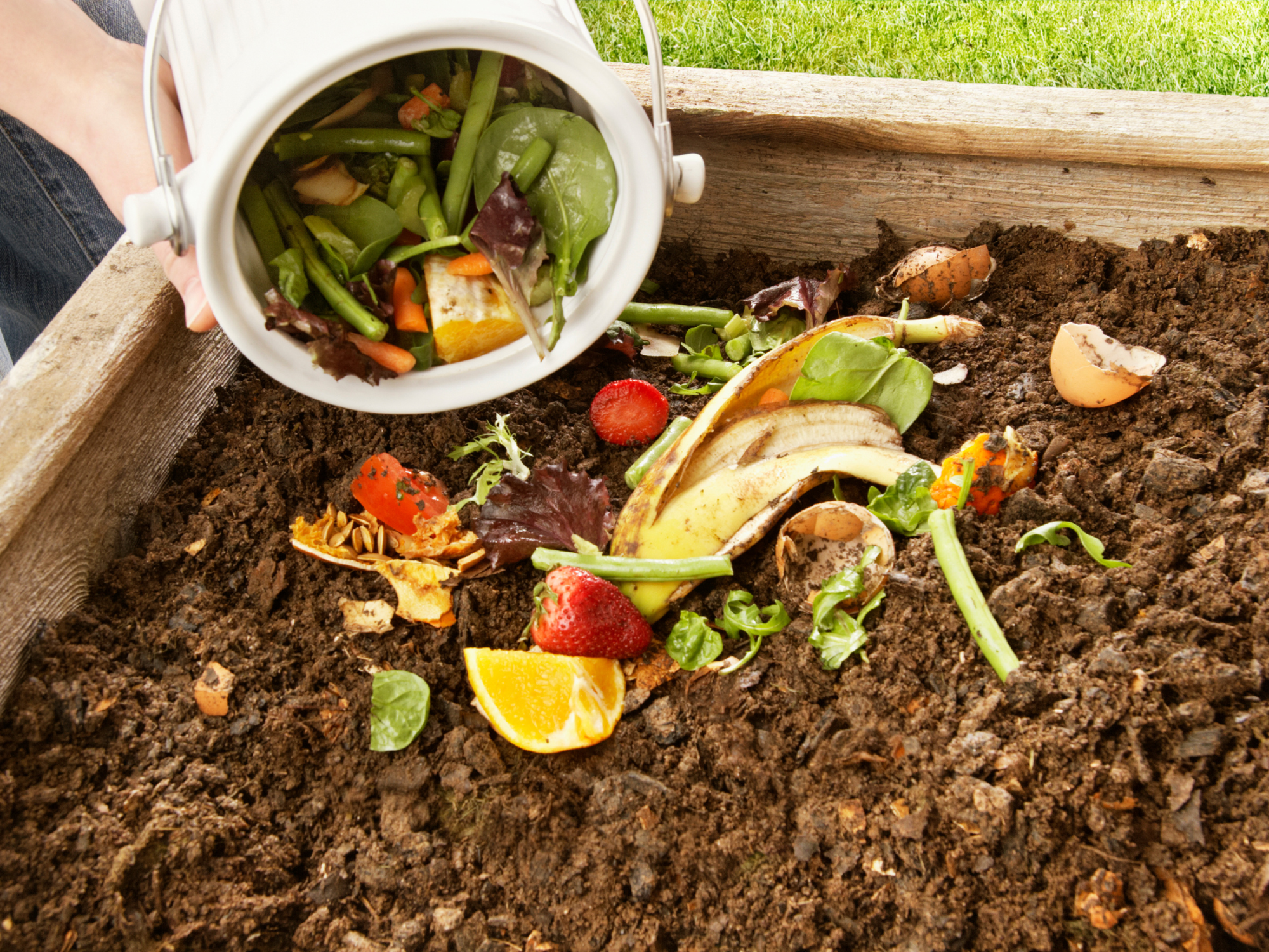 2024-03-09 Composting