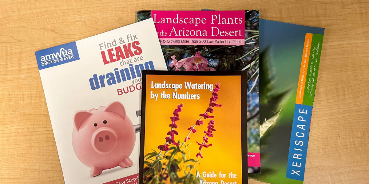 Landscape and watering guides