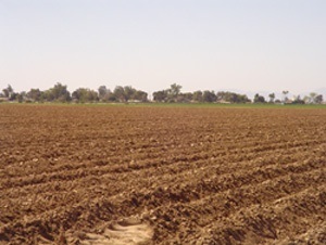 Plowed Farm Field